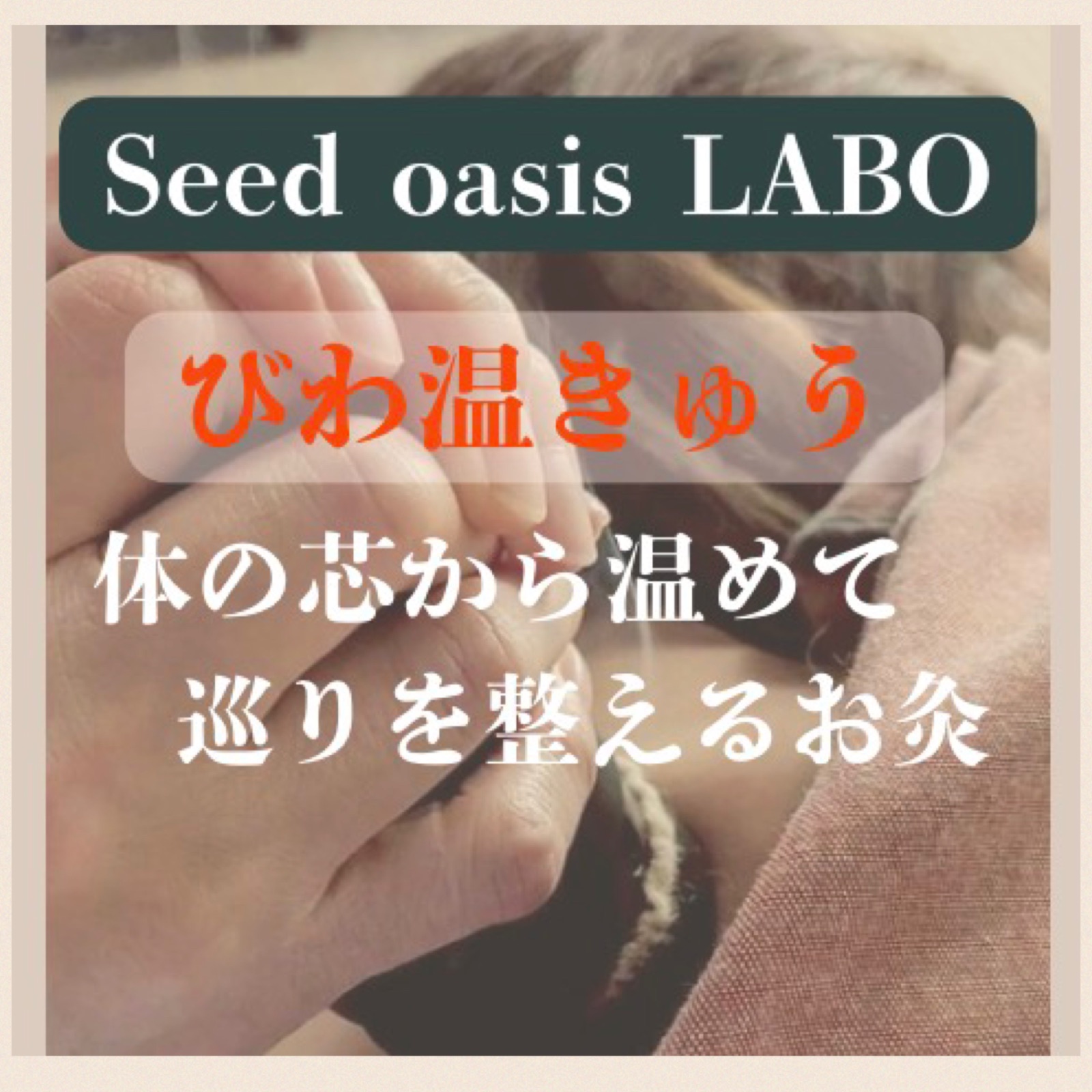 Seed oasis LABOの商品・作品画像 1