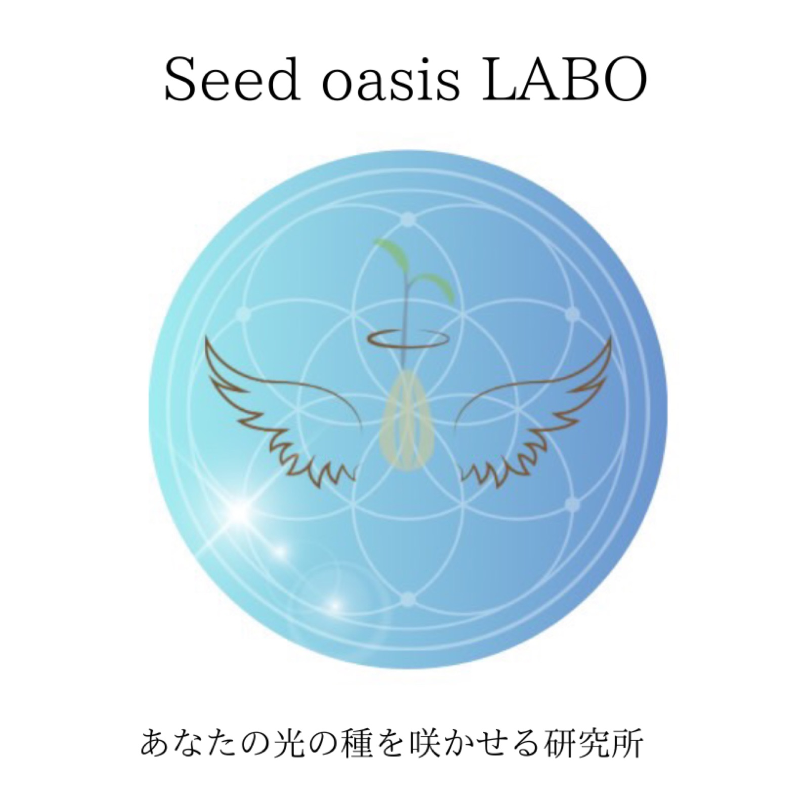 Seed oasis LABO のプロフィール画像