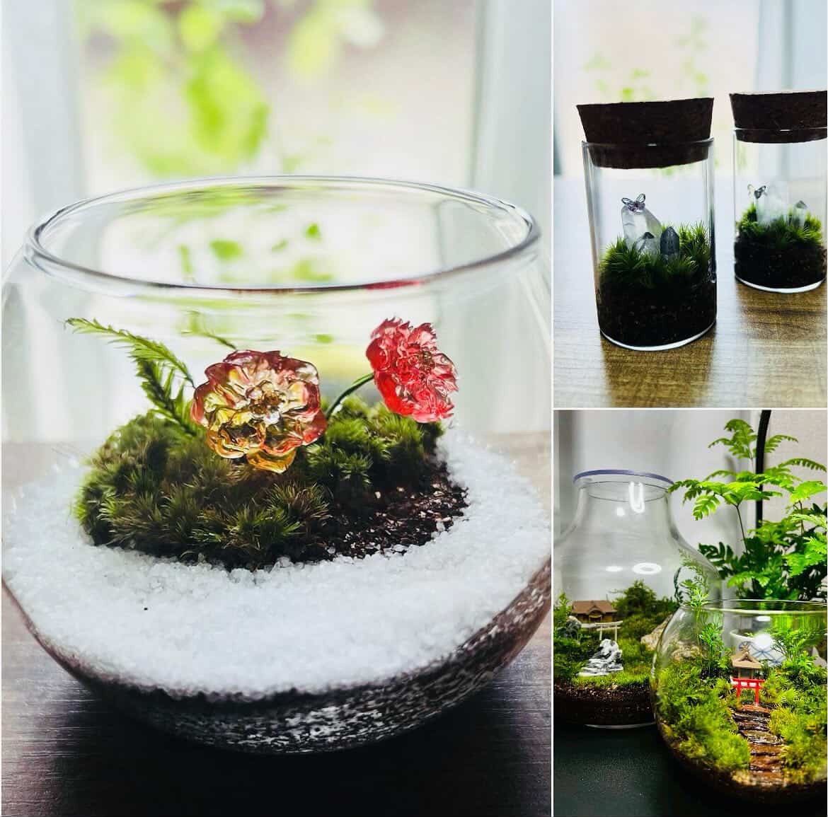 koke to tubaki ー苔と椿ーの商品・作品画像 2