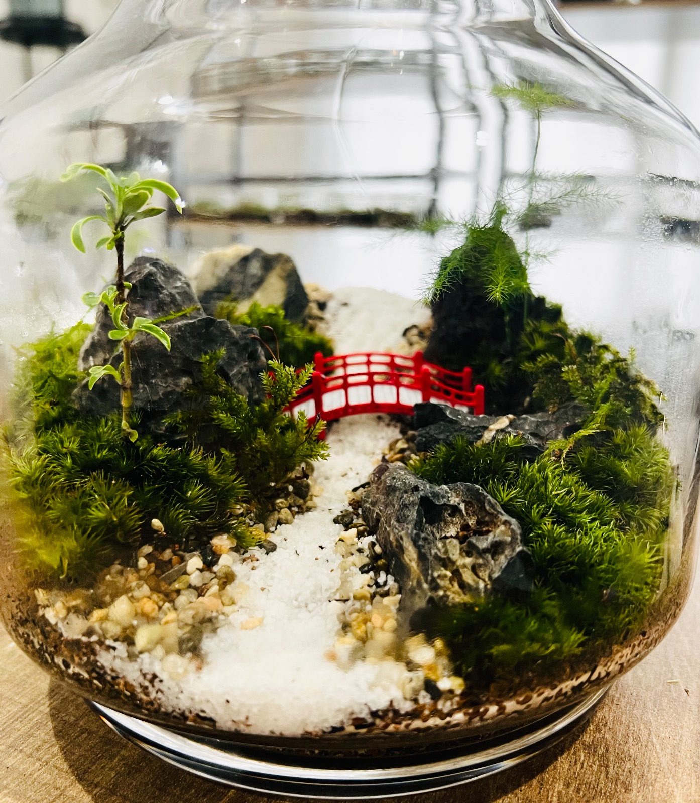 koke to tubaki ー苔と椿ーの商品・作品画像 3